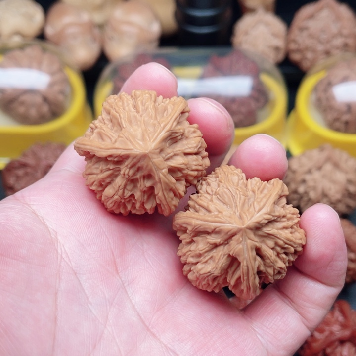 文玩核桃把件文山三棱36×36×35