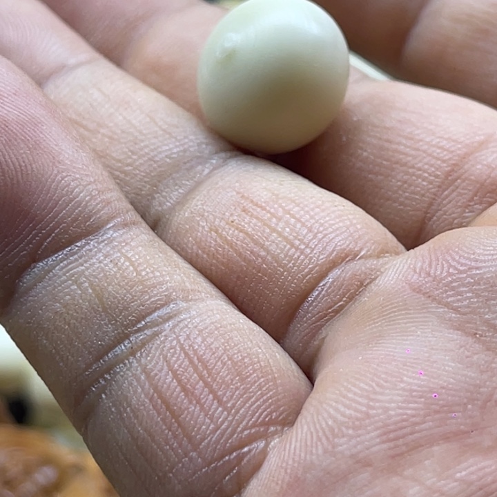 奶***菜象牙果雕刻面包圈