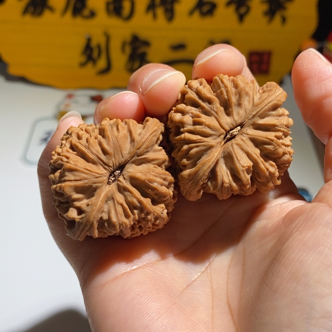 C***e大叶紫檀（黑酸枝木类）
