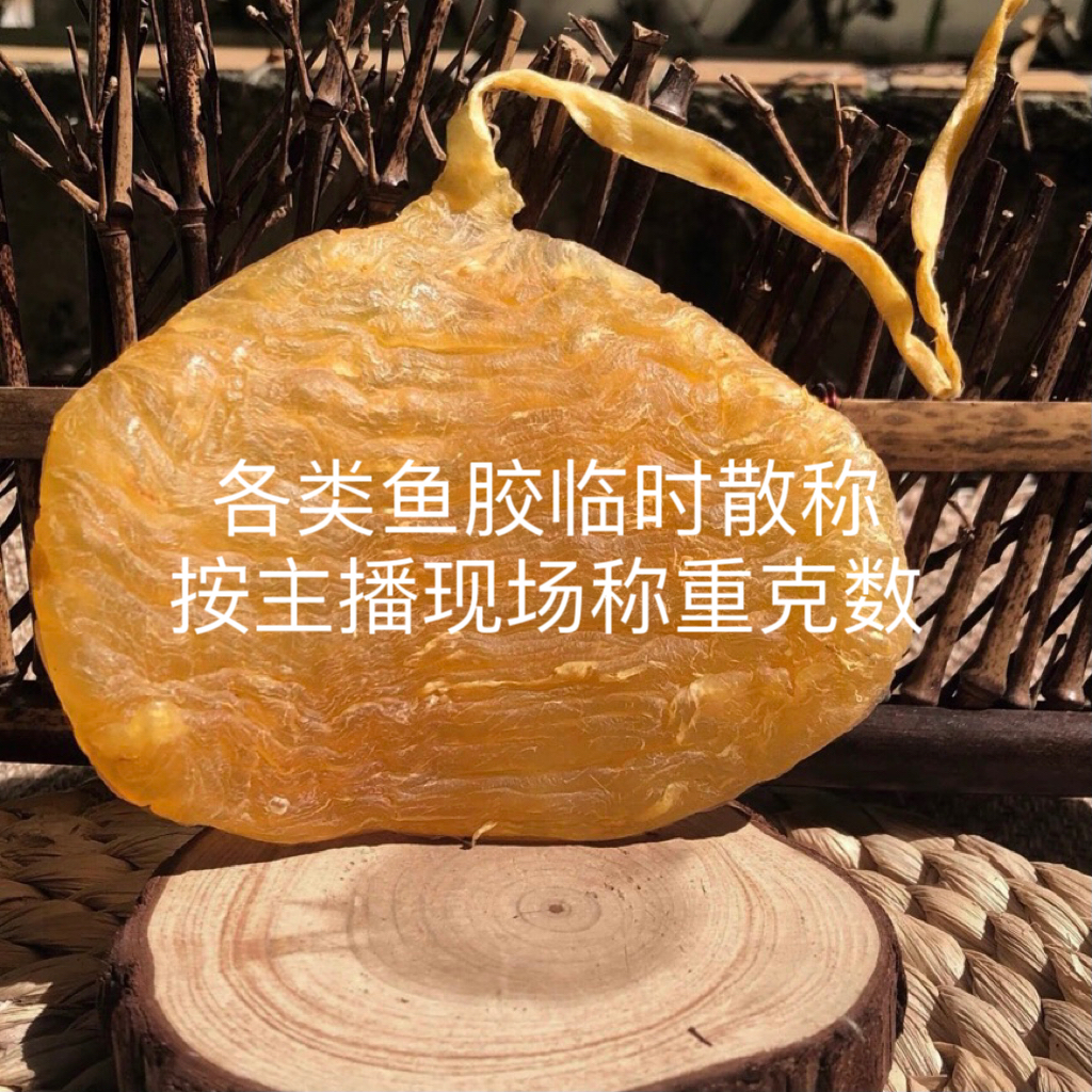 H  裕初各类鱼胶 多规格散称链接1-500g 鱼胶  炖汤清水 广东汕头