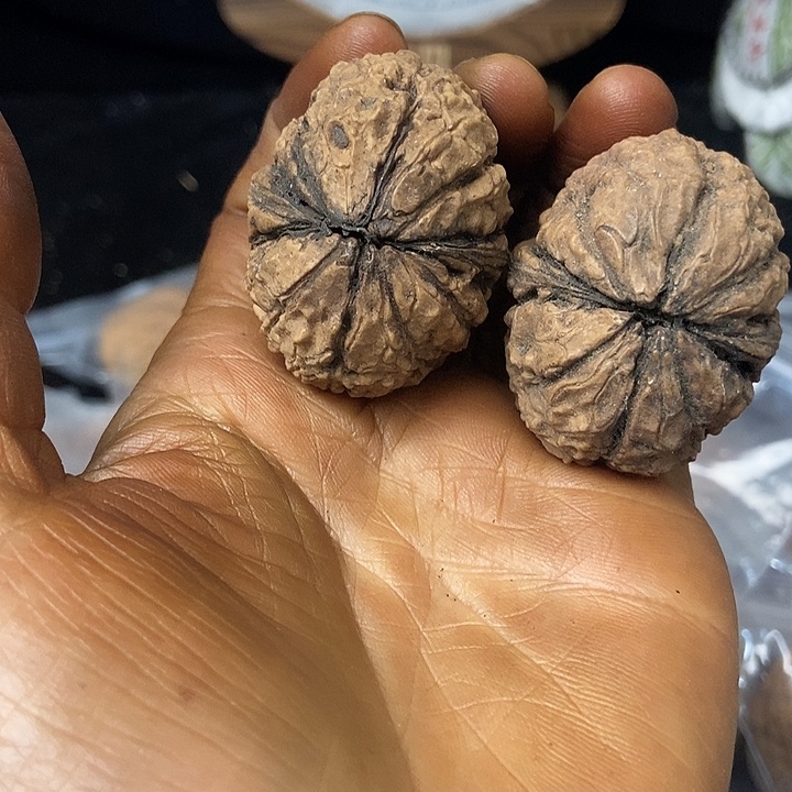 把件文玩核桃云南铁核桃基地76