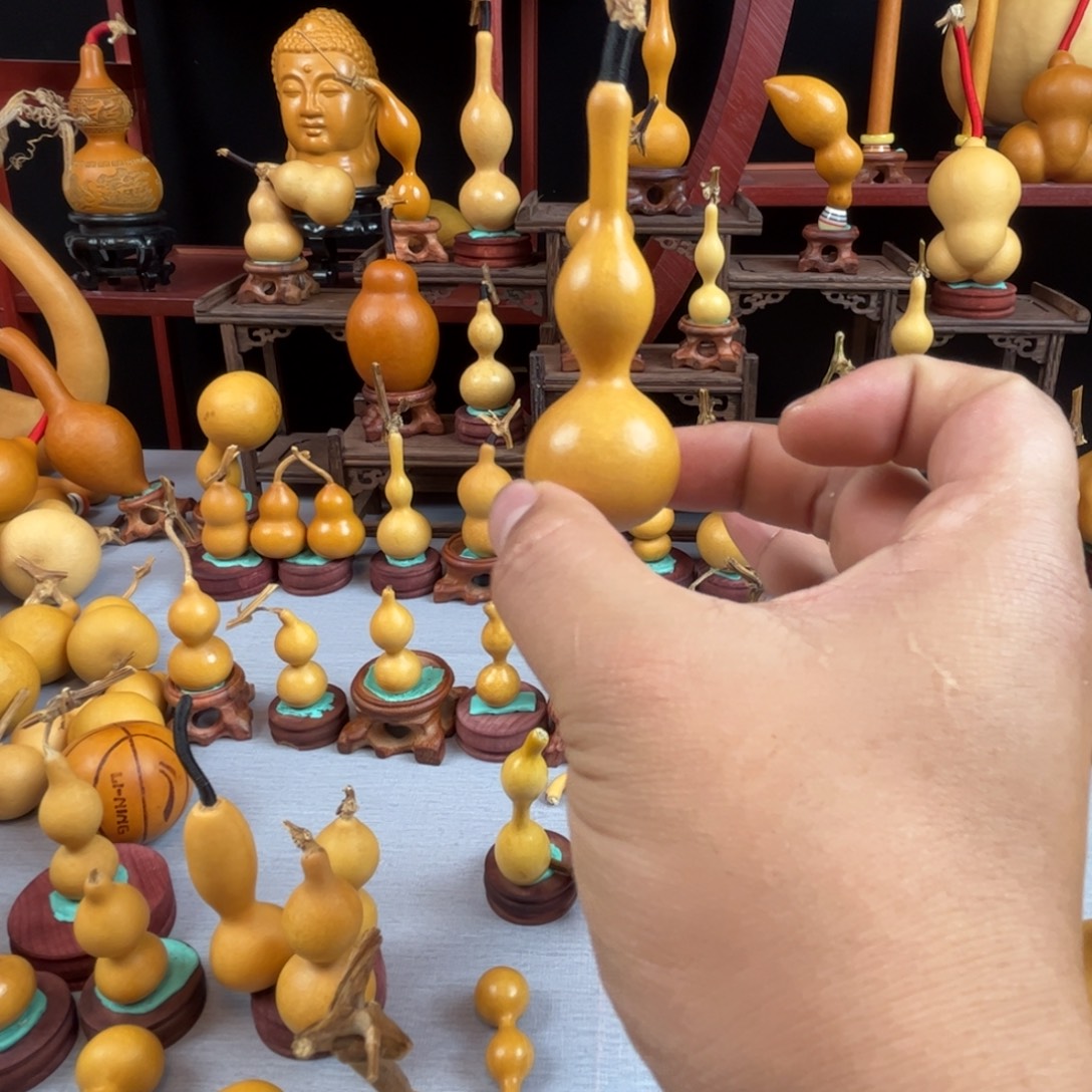 用***9藤木我的小可爱，一点也不像个女孩