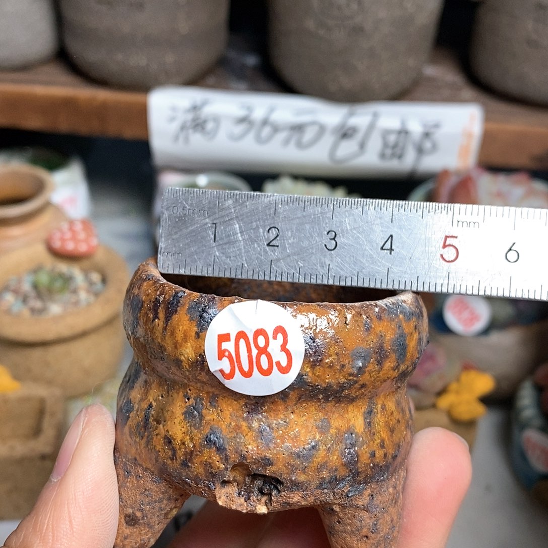 红陶拍5送一个小