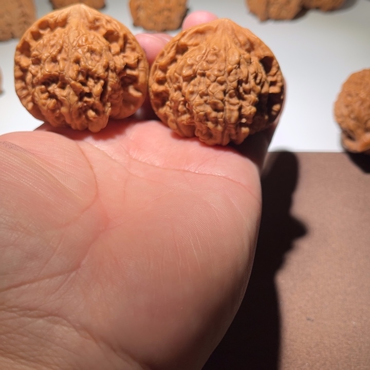 精品大官帽48尺寸