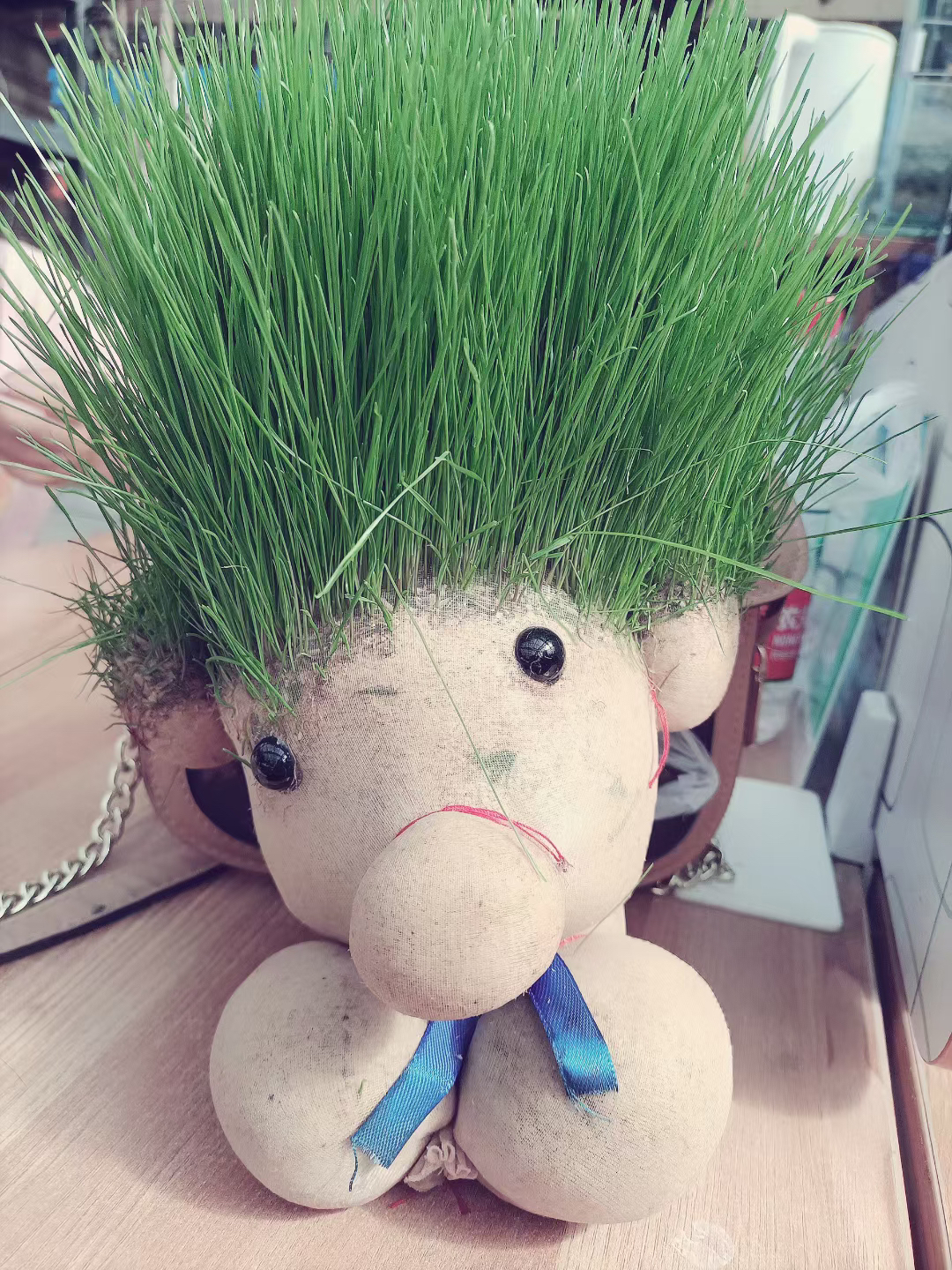 تازچاق  乌鲁木齐发货包邮两个