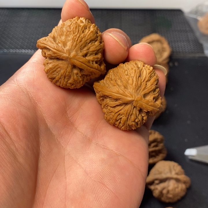 向***彦文玩核桃把件468765456