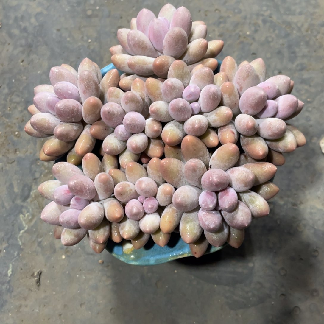 满68包邮发中通快递