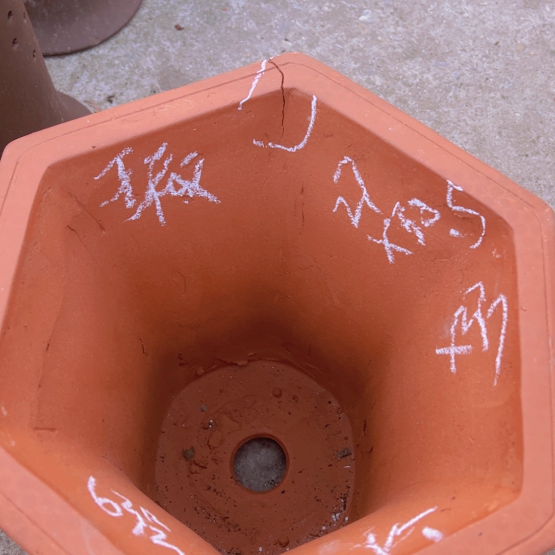 紫砂63…………………………………………