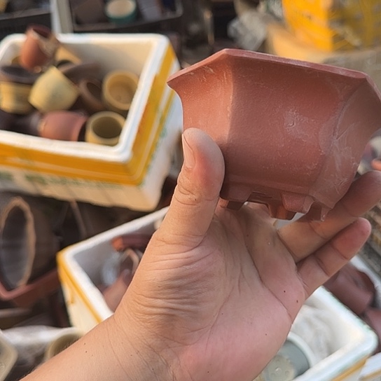 这就是为什么不在你家落户呀哈哈