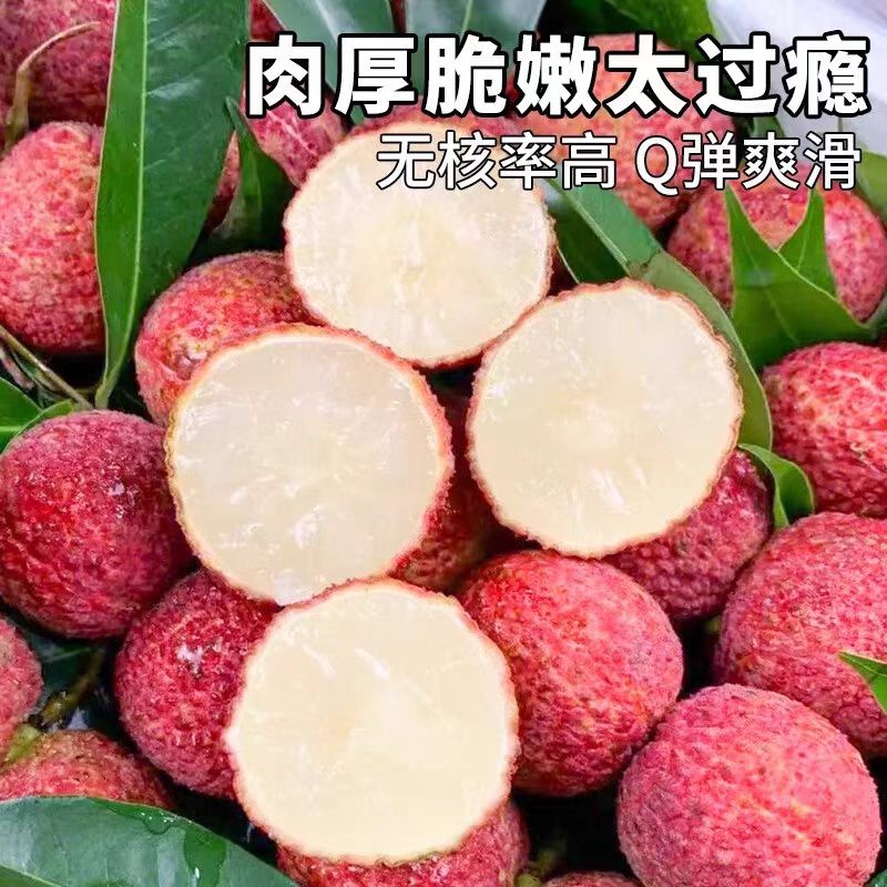 【顺丰次日达】火山岩无核荔枝大果新鲜水果现摘现发5斤净果4斤同城荔枝同城送海南省