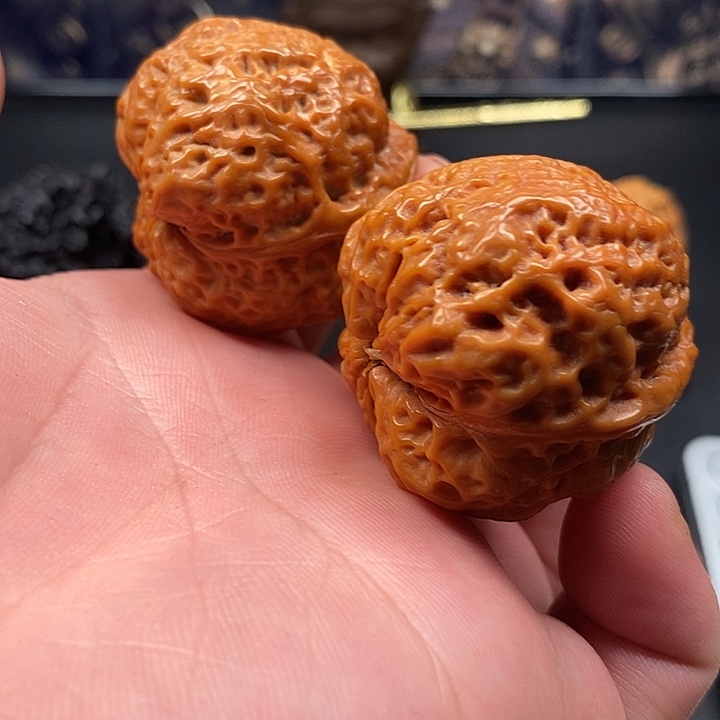 把件文玩核桃元宝蝉