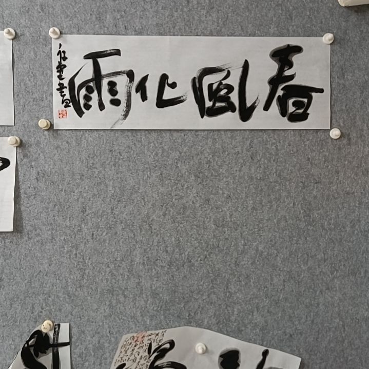 书法邢****司春风化雨是的是的是的