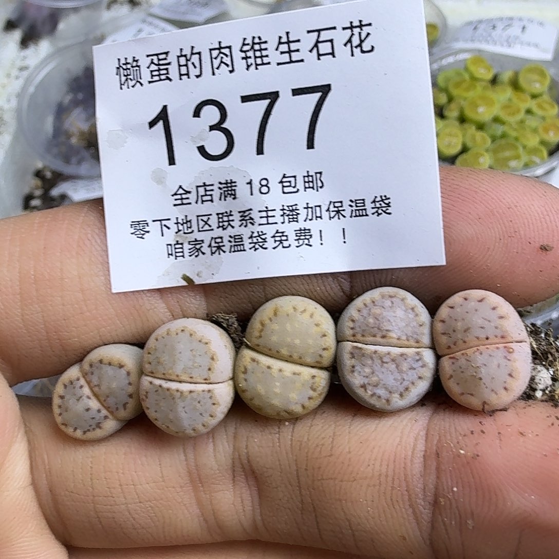 S***11377 哈哈哈哈哈哈哈哈哈哈
