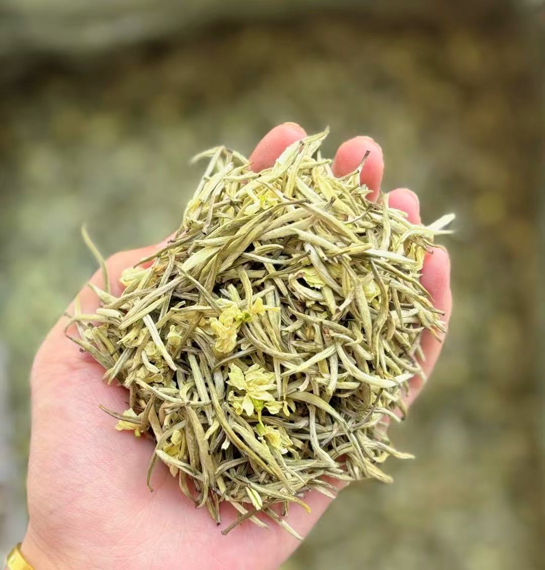 2025年新茶【银针王飘雪】蒙顶山云雾茶七窨一炒香甜可口茉莉花茶