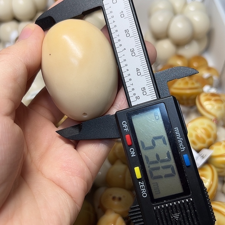 吊坠菩提根/象牙果原果特价手把件不退不换