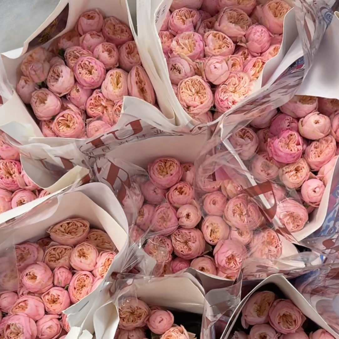 皇室浪漫-玫瑰（任意两单包邮，一单需要补运费）鲜花