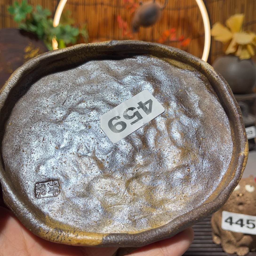 木村信弘柴烧保平