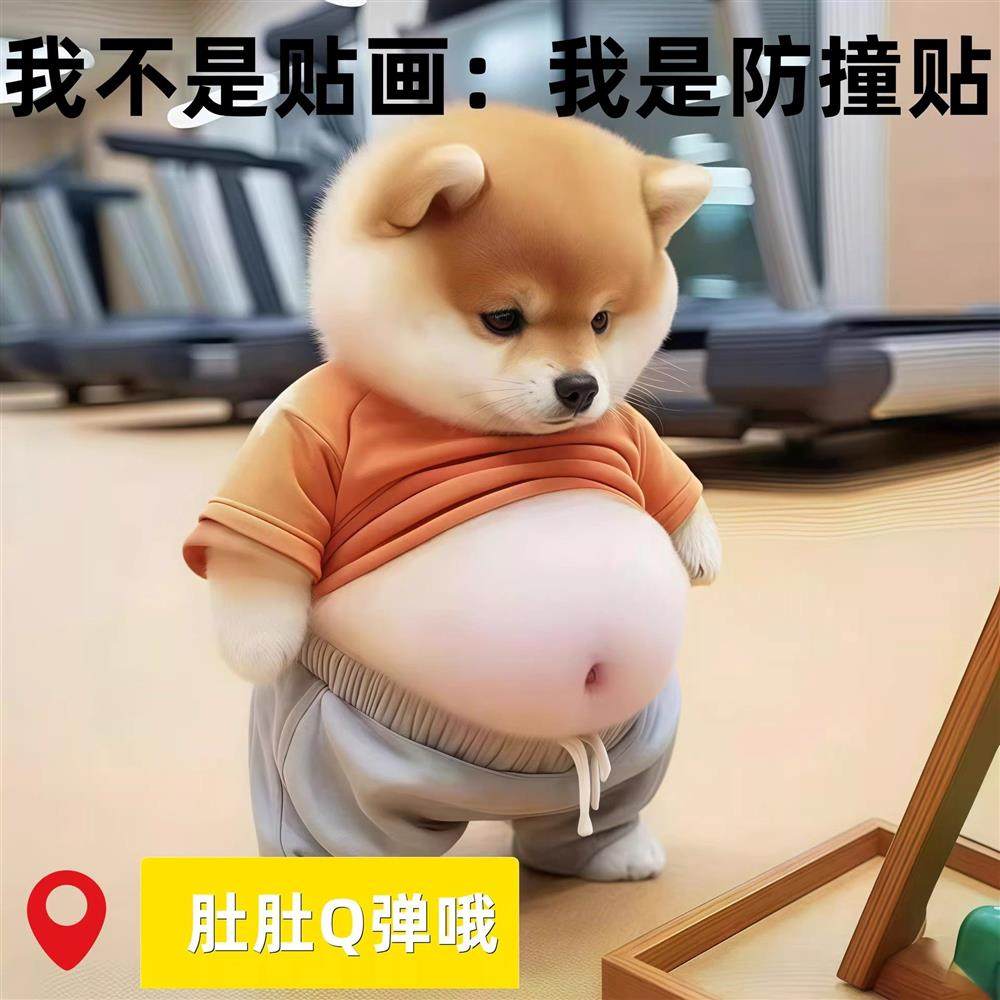 【5，9发四个】胖柴犬可爱卡通小胖狗冰箱贴捏捏玩具防磕碰防撞垫商品图