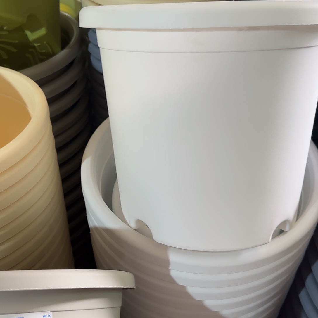 树脂四季3号无托21个白色微瑕