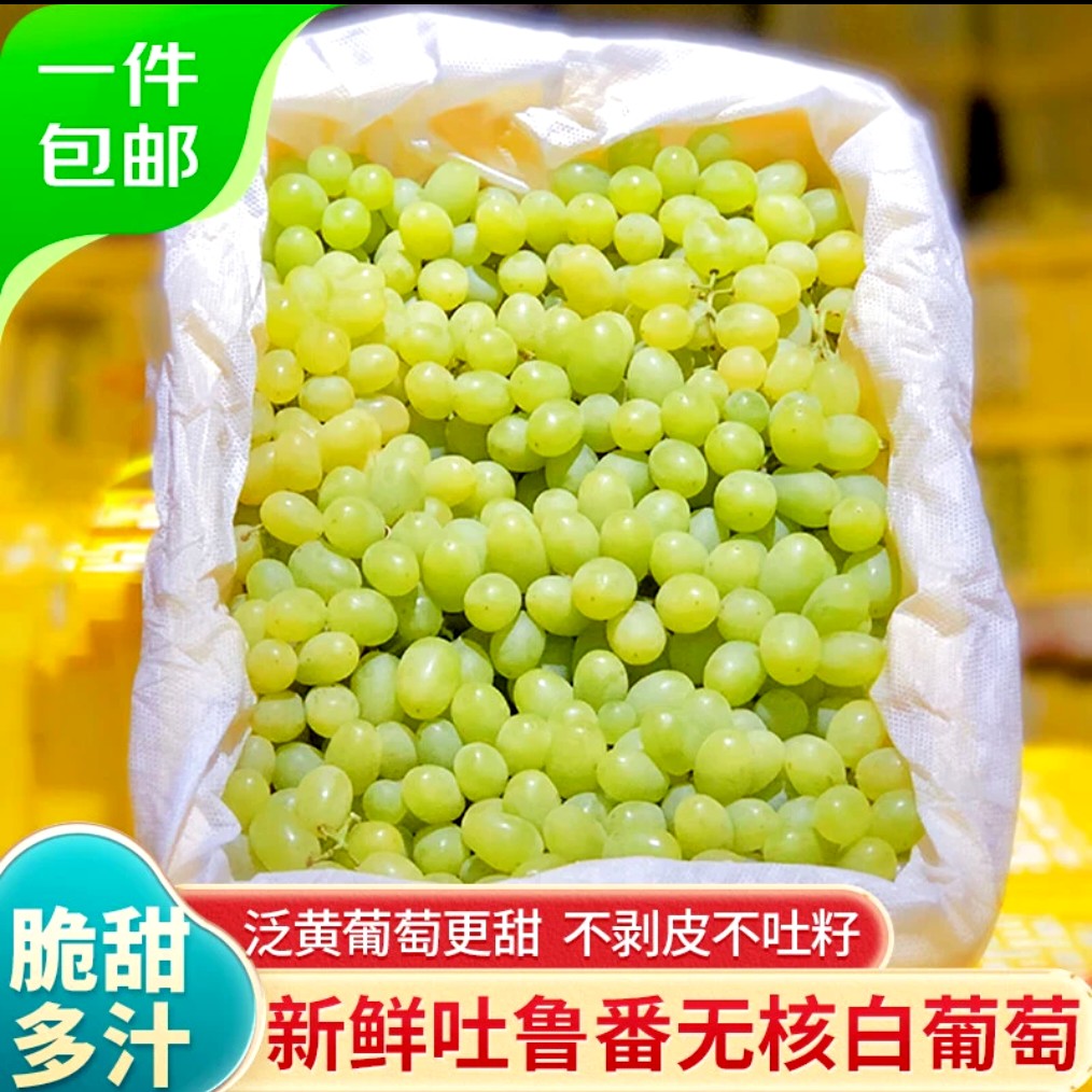 【顺丰到家】毛重5斤新疆马奶提无籽皮薄多汁现货现发新疆维吾尔自治区