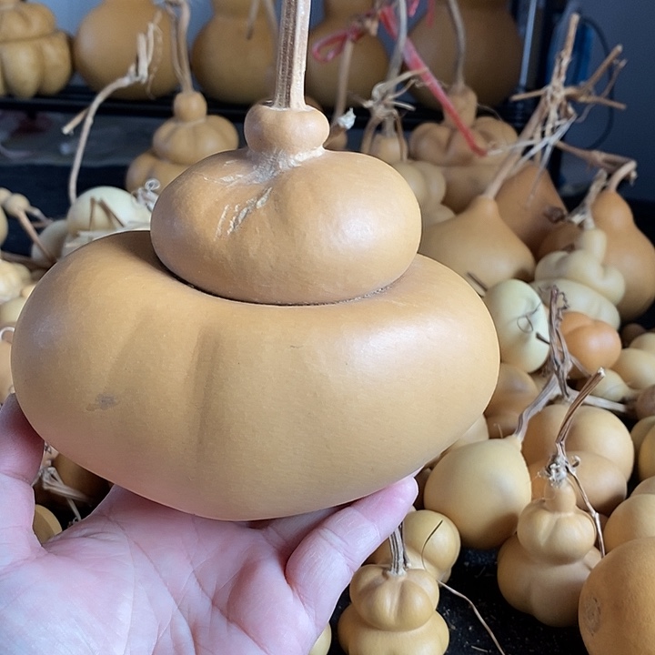 瑕庛大钱袋葫芦好好看
