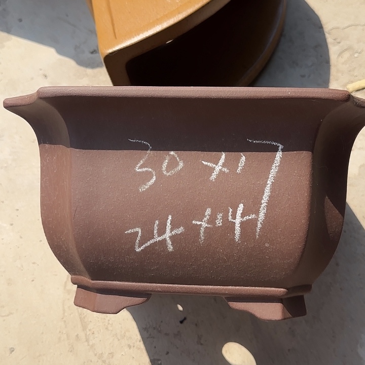 紫砂花盆这是我第一