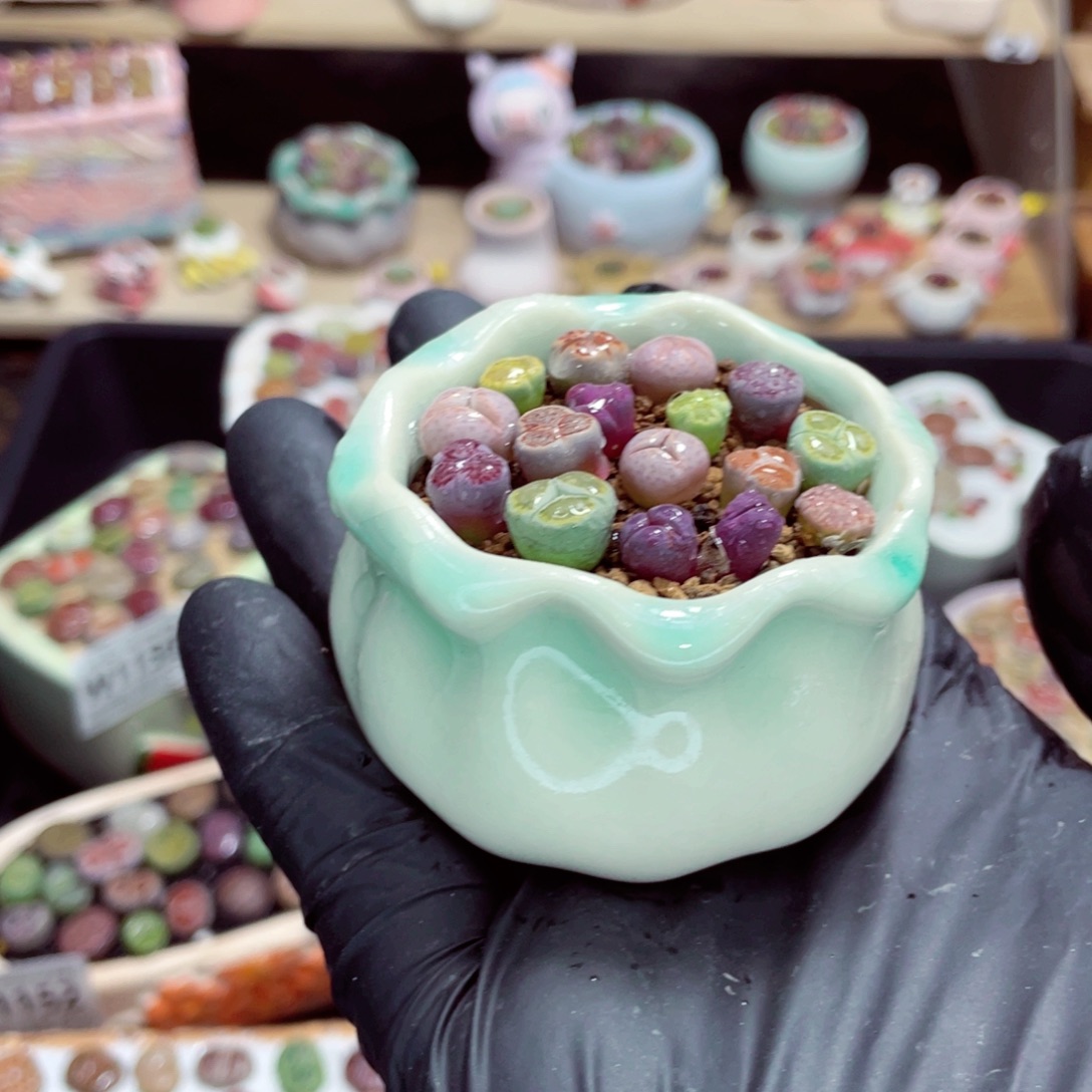 夜间零下地区拍保温箱w1173