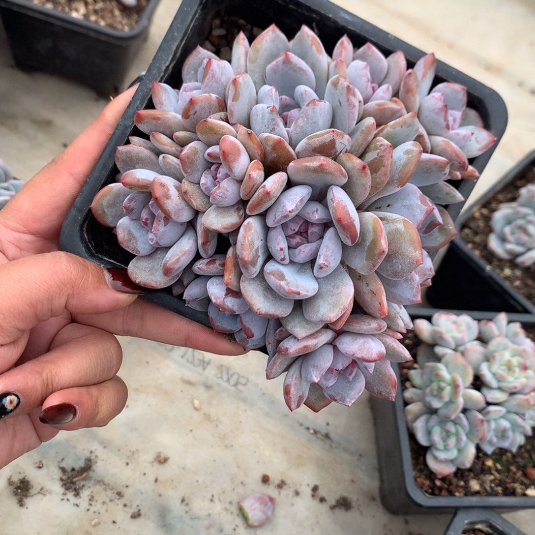 哈哈哈哈哈哈哈哈25