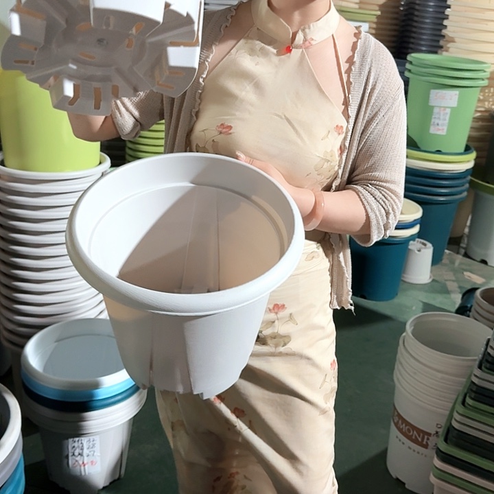 青山6号灰白无托5个