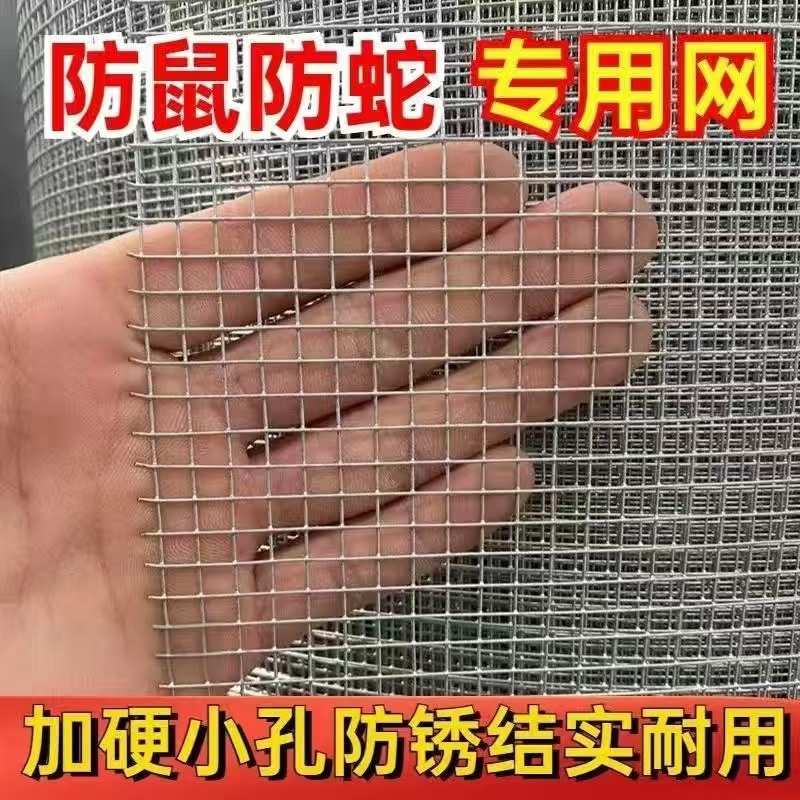 镀锌加粗加硬特粗防鼠防蛇鸽舍鸟笼钢丝网户外养殖防锈专用铁丝网