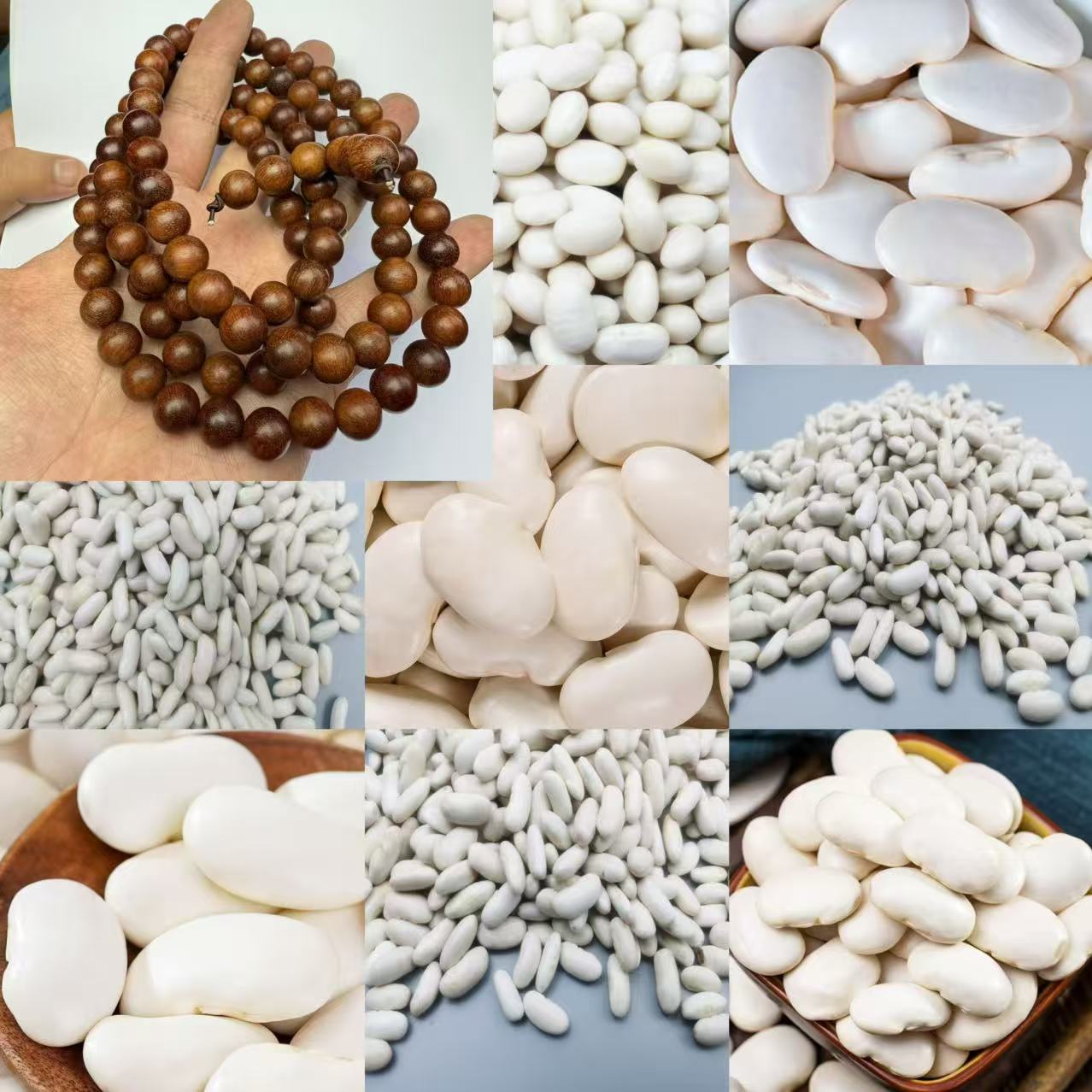 小孙收山货干货   JG045  75g-10mm