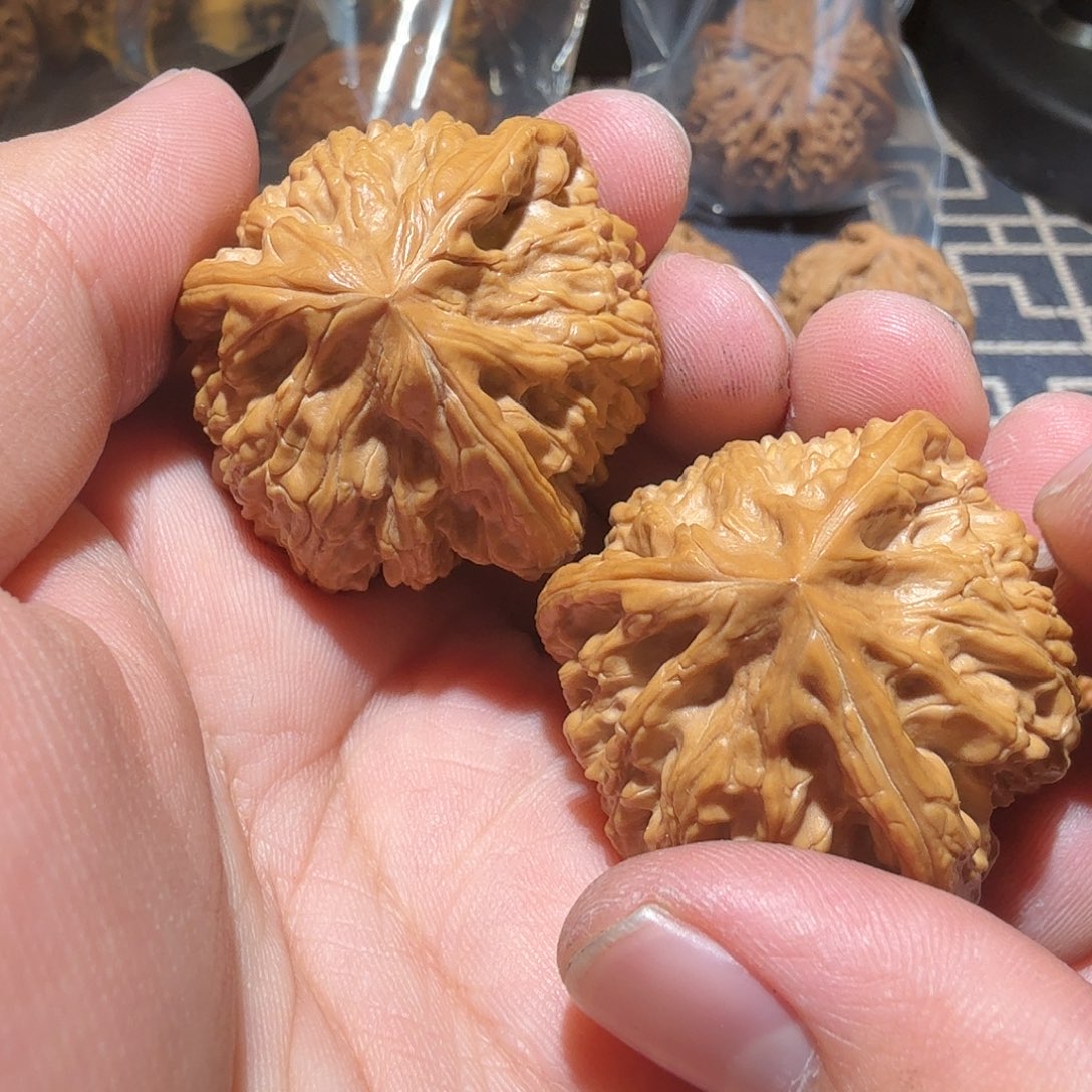 文玩核桃把件御龙