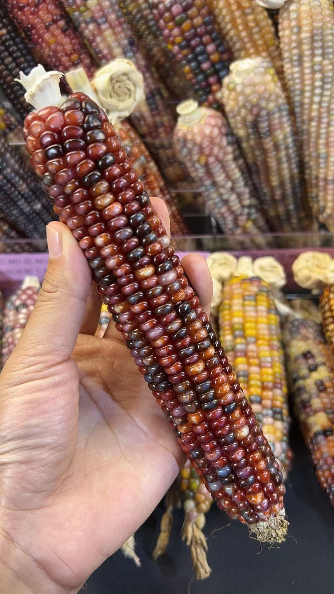 直播间一物一拍，不支持私自拍下。文玩七彩玉米，手工DIY毛料