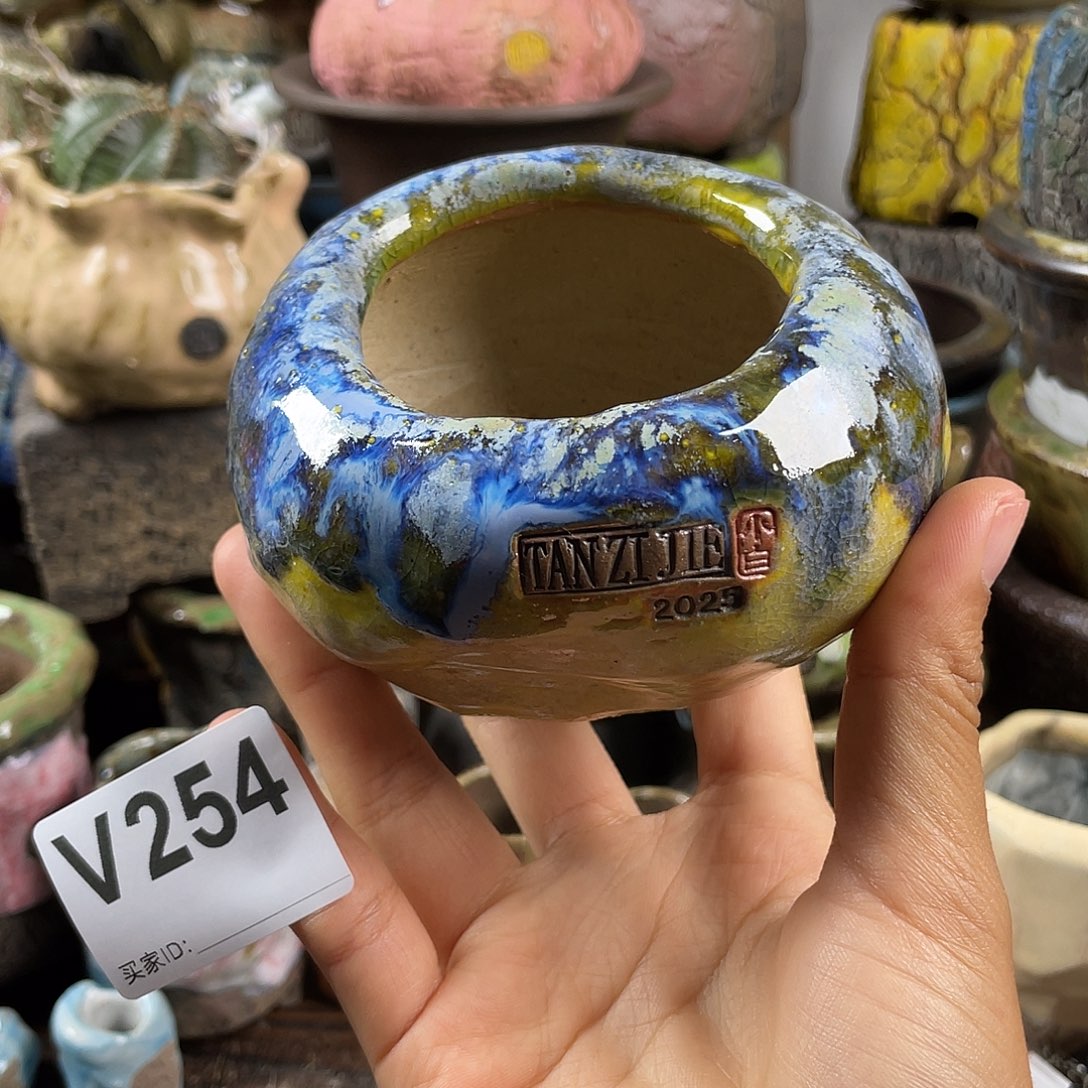 默认微次  限时福利 坛子姐花盆