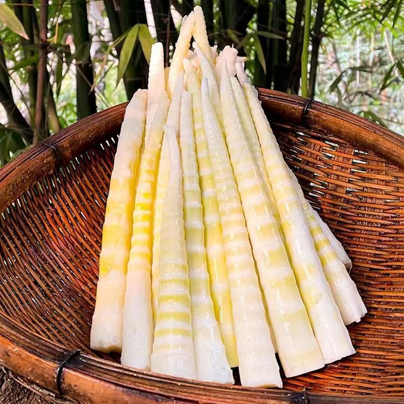 高山野生新鲜竹笋尖当季脆嫩竹笋火锅食材鲜嫩爽口固体物≥60%