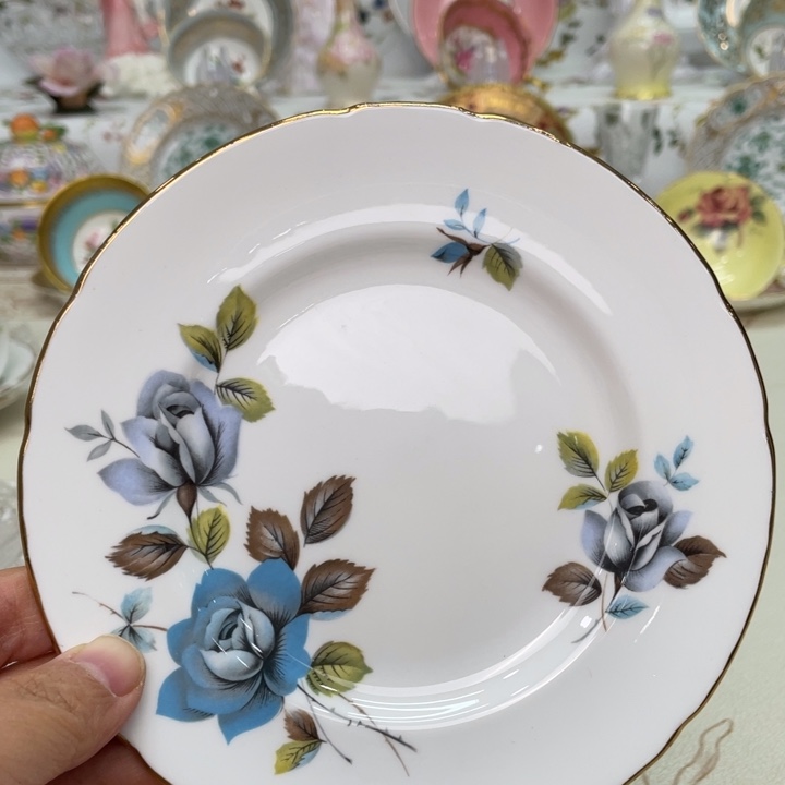 盘维多利亚欧洲中古