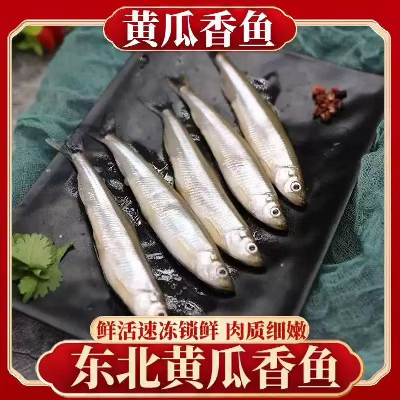 野生黄瓜香小鱼6-10斤顺丰冷链包邮