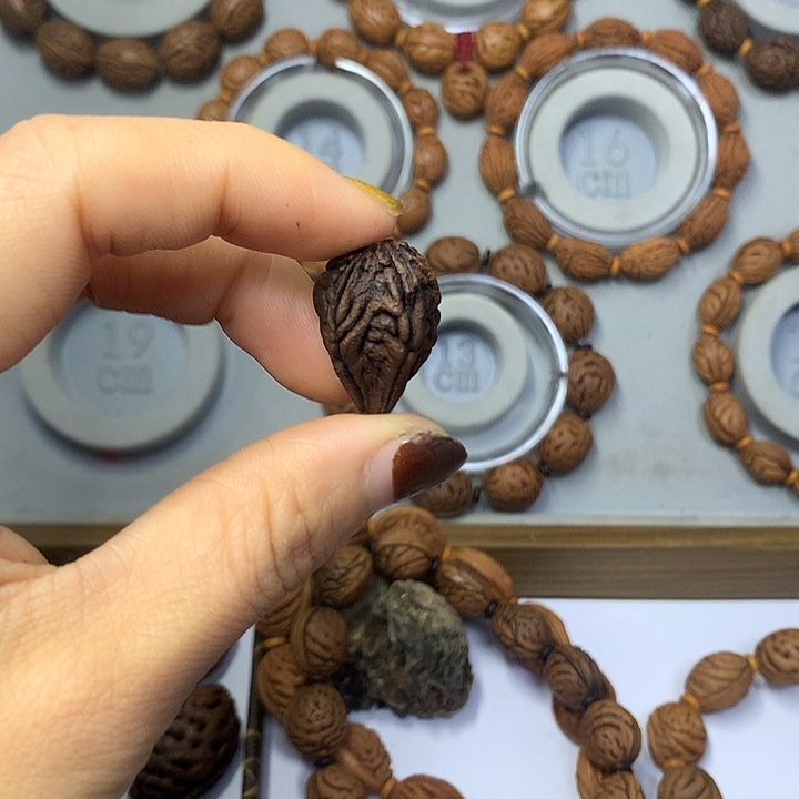 木质类异性桃枭结缘