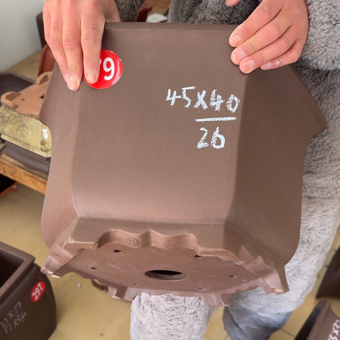 紫砂花盆呜呜呜呜