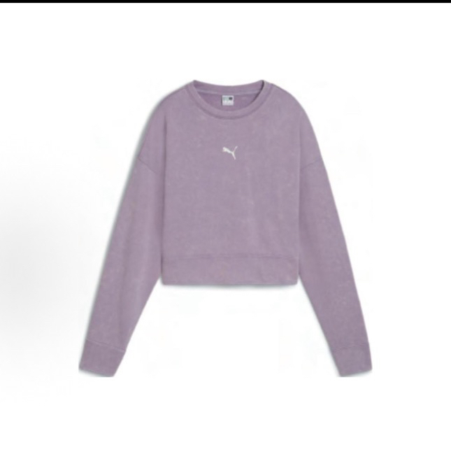 XL PUMA Sportstyle系列 FW24 圆领长袖卫衣 浅紫色 629053 30