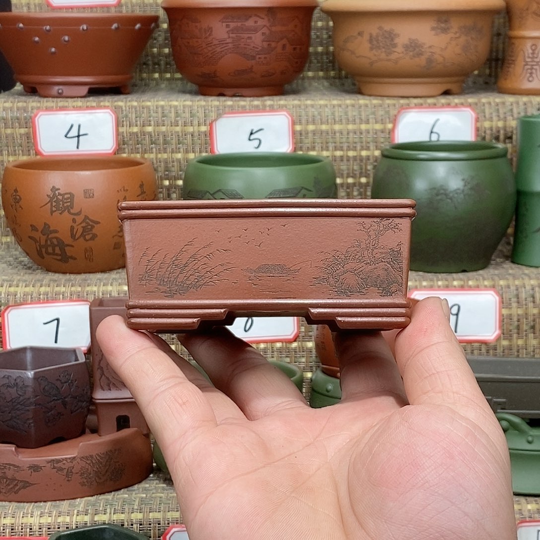 紫砂花盆我在等他