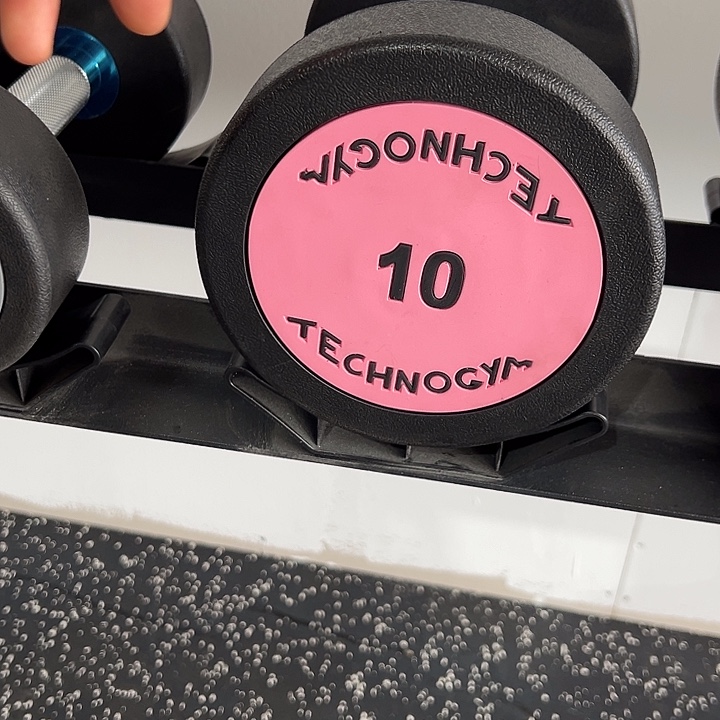 全新纯钢泰诺哑铃10公斤一对粉色