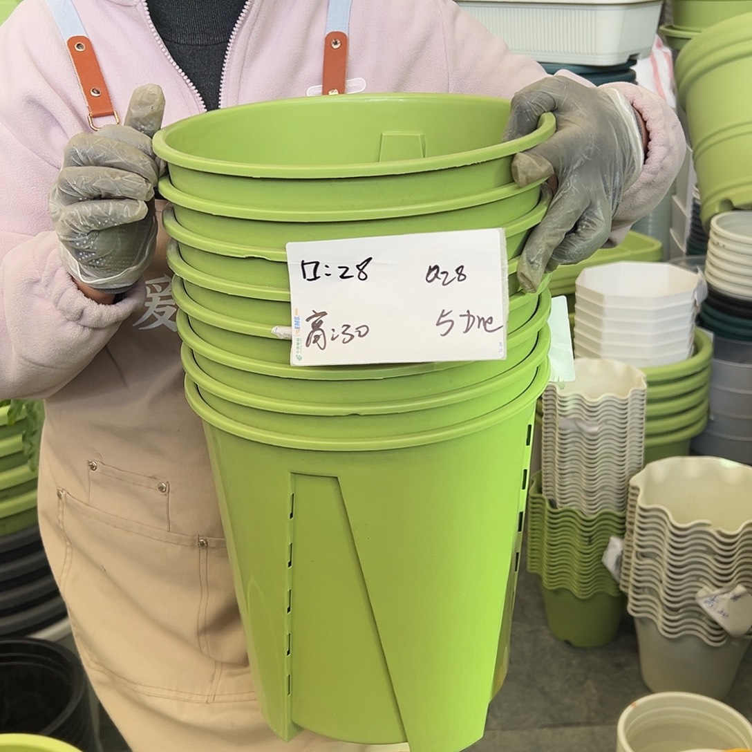 瑕疵Q28#果绿色5个无托