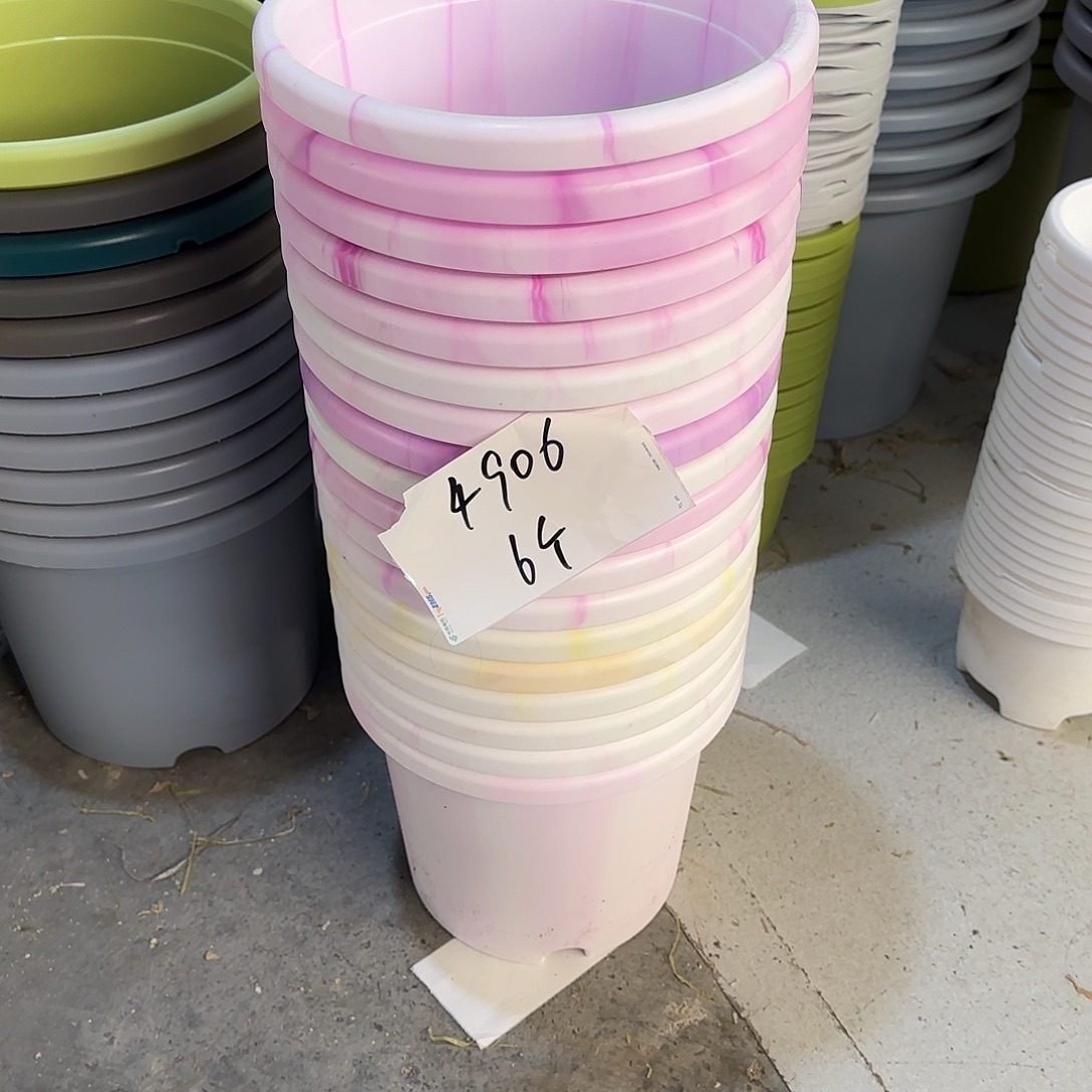 编号4906，4号串色