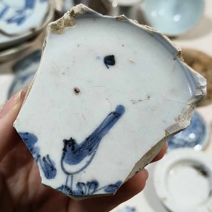 瓷片瓷片瓷片瓷片瓷片瓷片