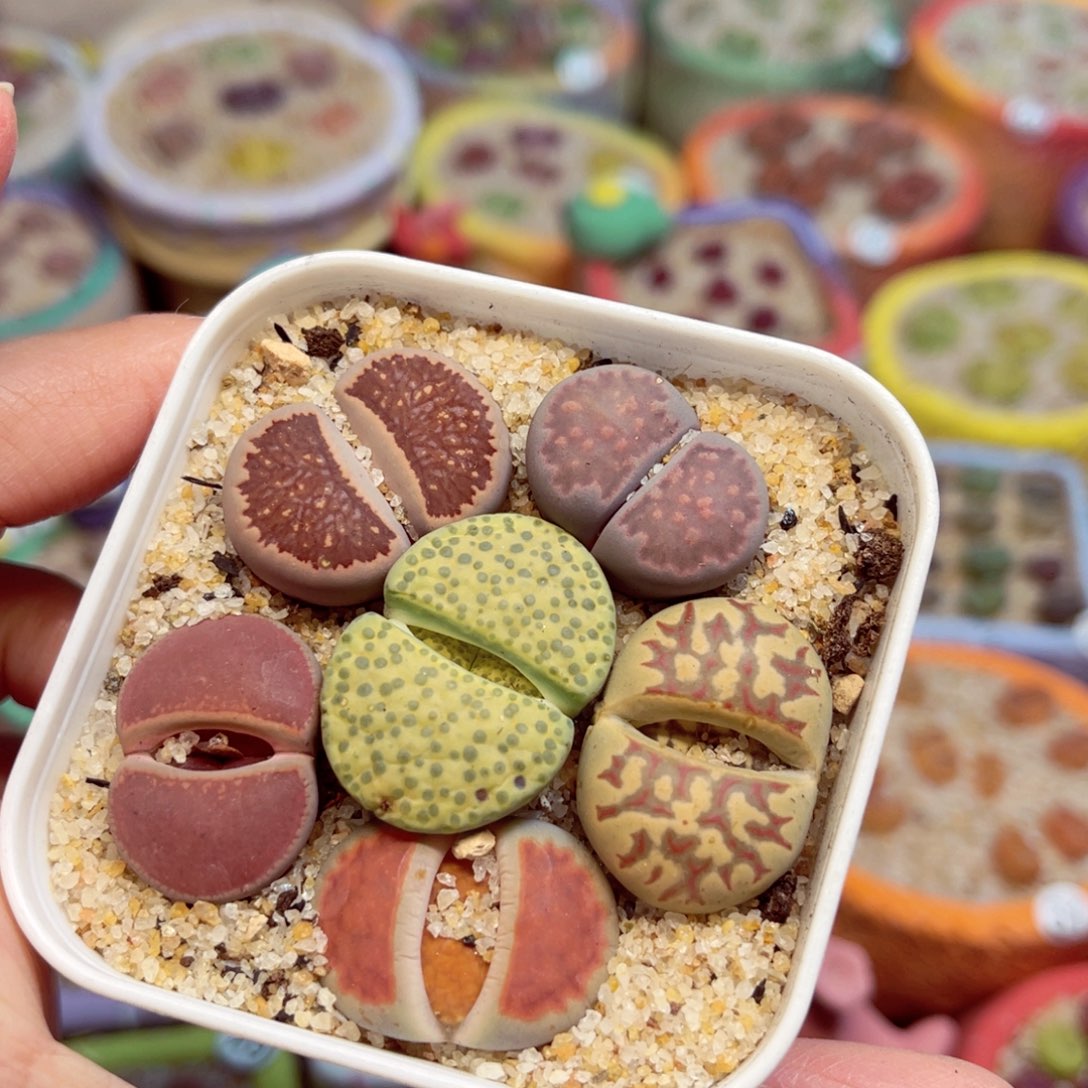 304.  Ghjjkh5789568857