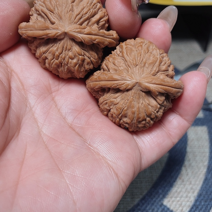 文玩核桃把件昵***置白狮子41