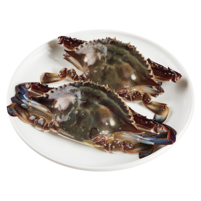 【母蟹红膏】梭子蟹一份2-3只左右（每只3两左右)500±50g【保鲜不保活】