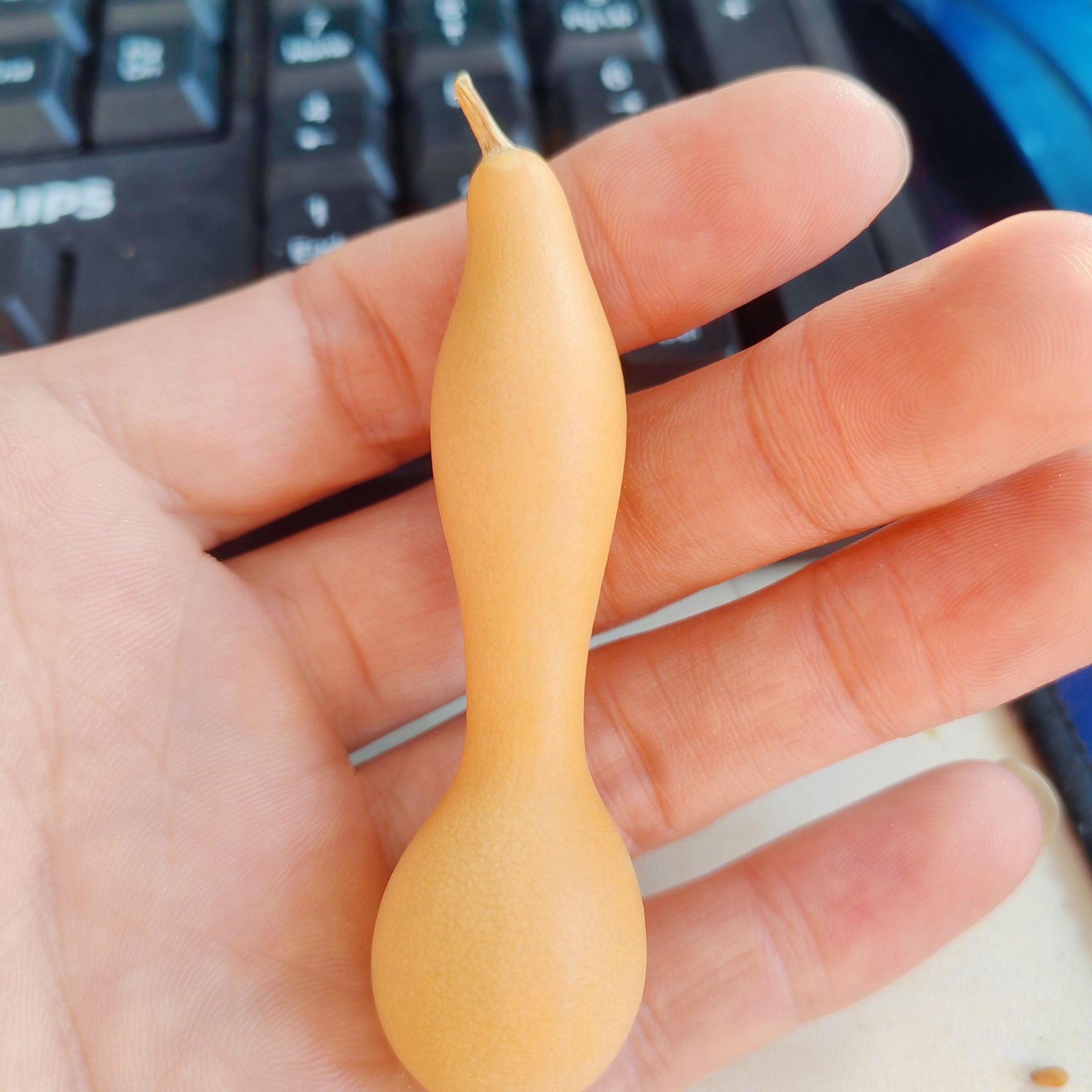 天然小葫芦 手把件文玩带龙头盘玩专用皮质细腻福禄葫芦把玩