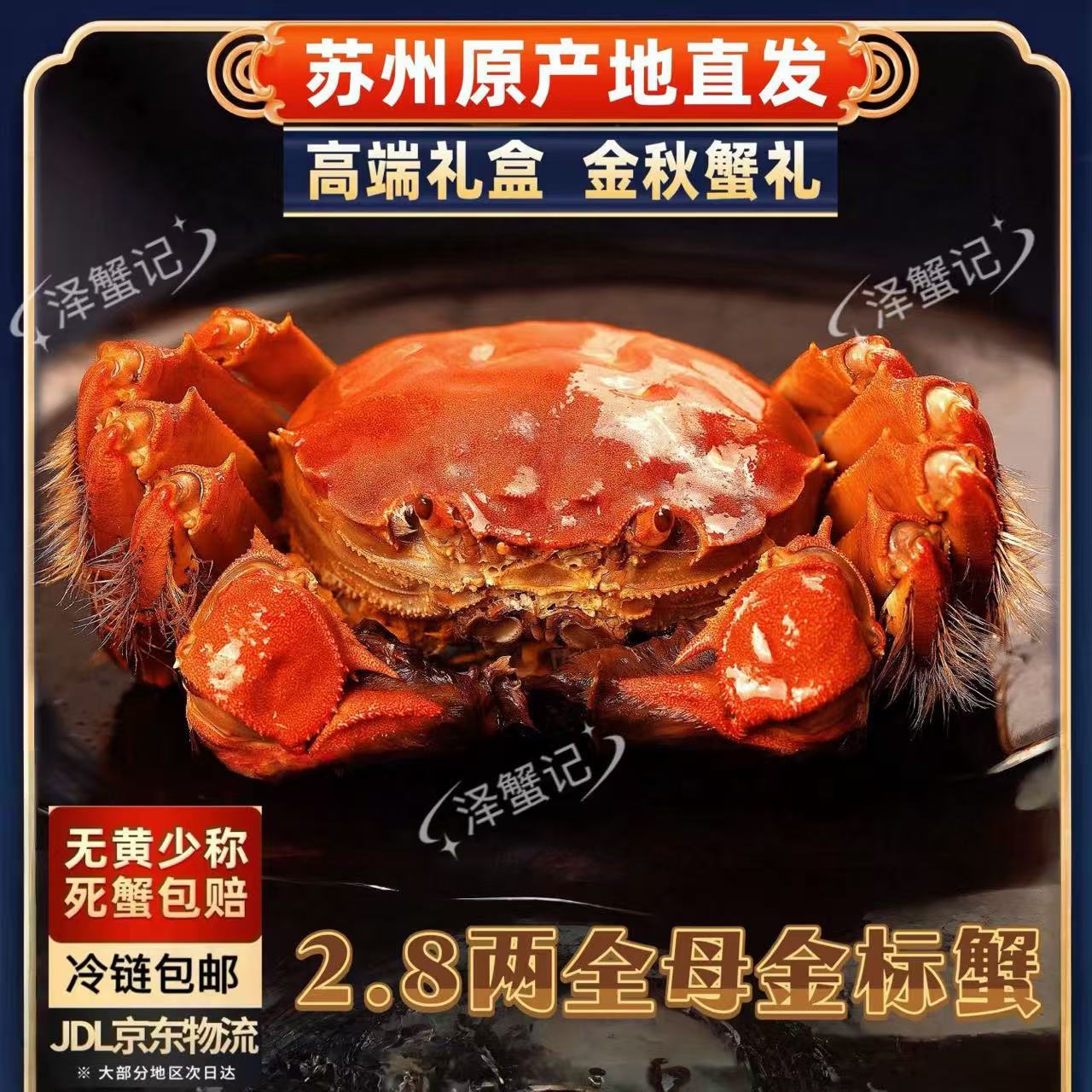 【苏州金标活蟹】全母蟹2.8~2.5两礼盒装冷链包邮8+2到手10只活蟹